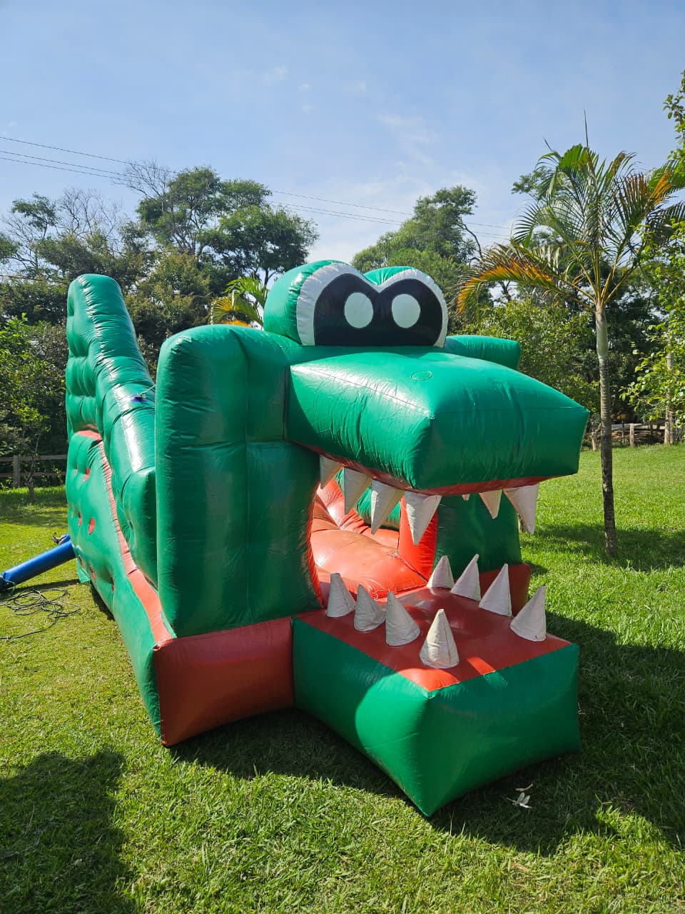 4,5x2,5x2,5 - Tobogã Jacaré